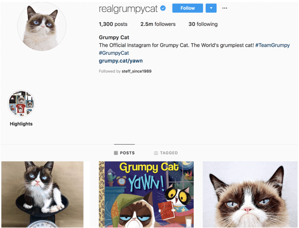 real grumpy cat